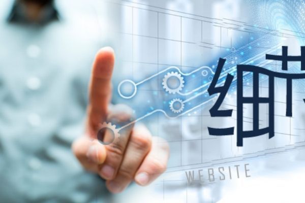 丽水网站建设小程序开发合同要点与交付验收标准